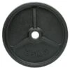 25kg Cast Iron Olympic Weight (1of)