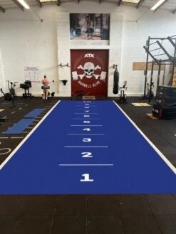 Blue - Grasshopper Artificial Grass Performance Speed Track