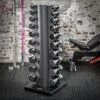 Chrome Dumbbell Set 1-10kg + Rack
